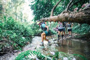 BIB: 
                            <button type="button" onclick="openModal(25460996)" class="btn btn-primary btn-sm float-right btn-popup" data-toggle="modal" data-target=".modal-high-quality">
                        <i class="fas fa-shopping-cart"></i> Add to Cart
                    </button>
                                            <button type="button" onclick="isThisMe(25460996, true)" class="btn btn-success btn-sm float-right btn-popup btn-isme hidden" data-toggle="tooltip" data-placement="bottom" title="นี่คือรูปของคุณใช่ไหม คลิกที่นี่เพื่อเอาเข้าอัลบั้ม">
                        <i class="fas fa-plus"></i> Add to album
                    </button>
                    <button type="button" onclick="isThisMe(25460996, false)" class="btn btn-warning btn-sm float-right btn-popup btn-isnotme hidden">
                        <i class="fas fa-ban"></i> Remove from album
                    </button>